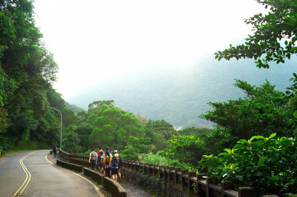 登峰圳、瑪礁古道、內雙溪古道連走上擎天崗1910481