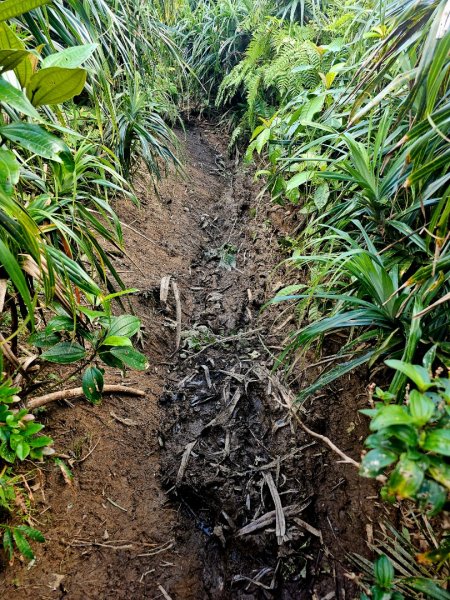 紅頭山-小百岳#97-台東縣蘭嶼鄉2901069