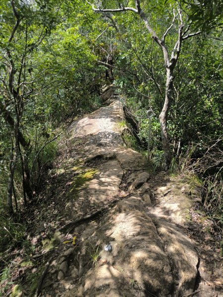 20251010微笑山線：【五分山系】菁桐煤礦段2910202