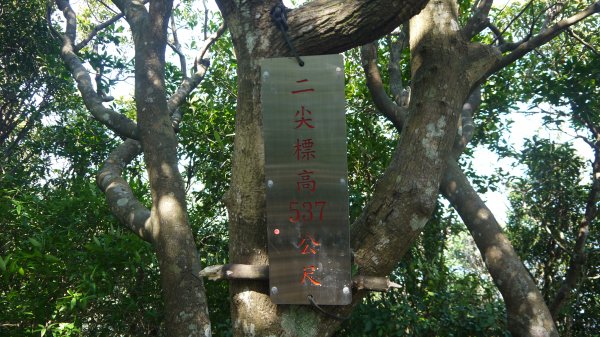 觀音山登山健行趣(小百岳05號)1632427
