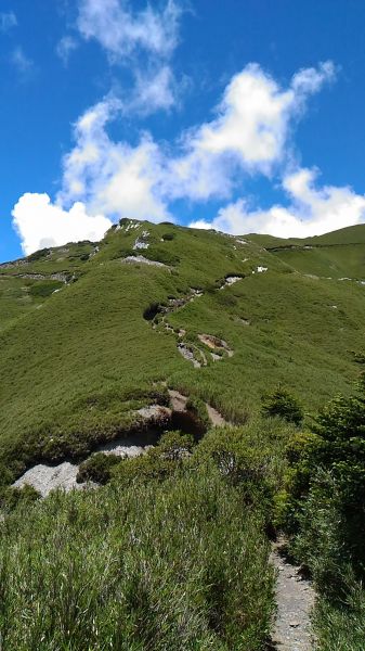 合歡山主峰、東峰、石門山及合歡尖山之行360941