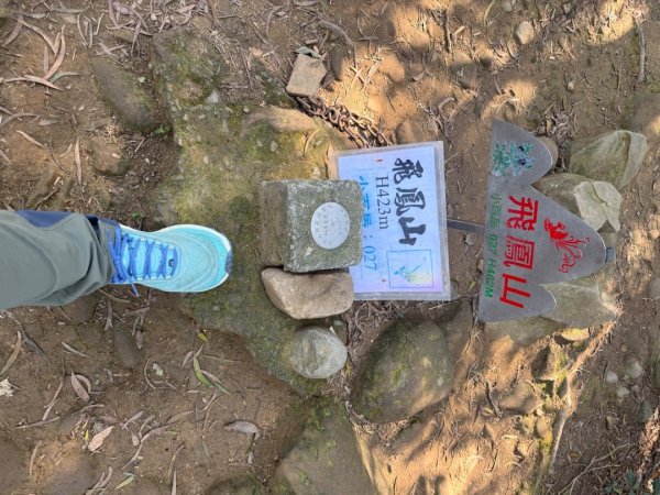 20260221 飛沙新路3003410