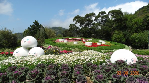 追花是簡單的快樂，賞花是恬淡的幸福。871160