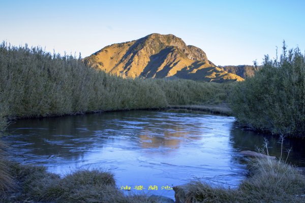 大小劍-油婆蘭全紀錄2674182