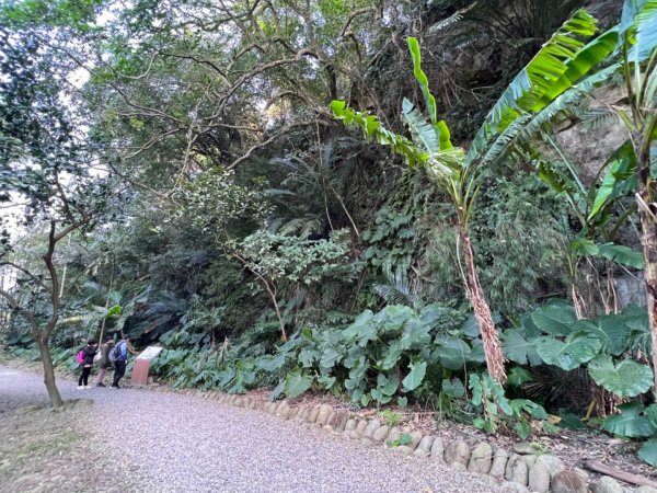 北車-桃園-齋明寺-自行車道-中庄調整池-七張-月眉2684813