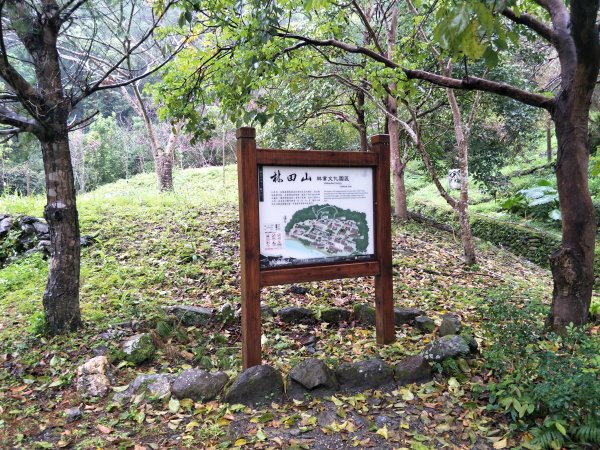 神壽任務尋寶趣-林田山林業文化園區、森坂步道1612860