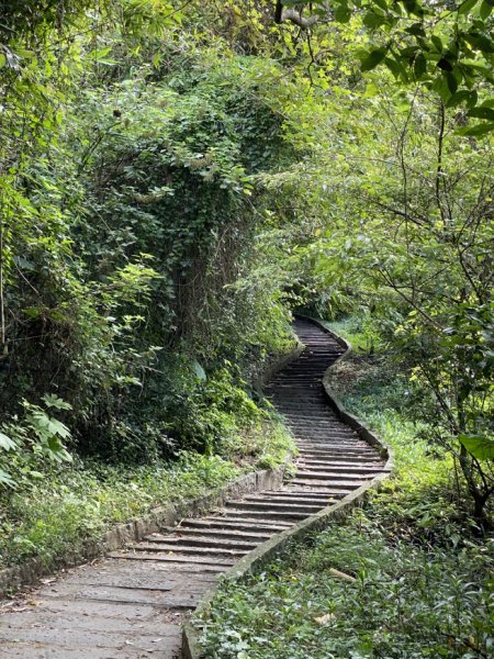 2023/10/24 尖山步道 北橫古道 硬漢嶺2368747