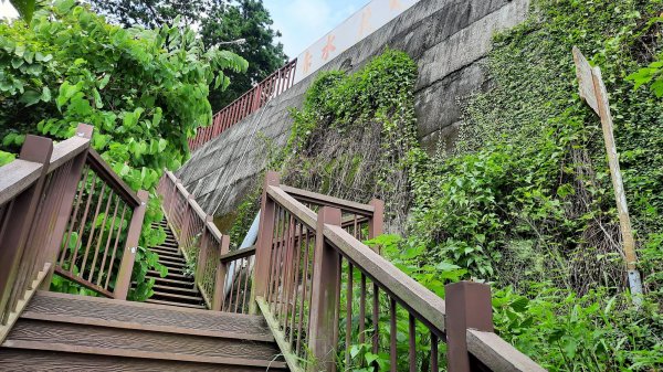 《彰化》玉蘭花香｜赤水崎公園步道及松柏坑山202308062241231