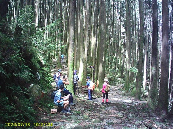 大雪山林道橫嶺山步道、橫嶺山、沙蓮山、笛吹山O繞3090389