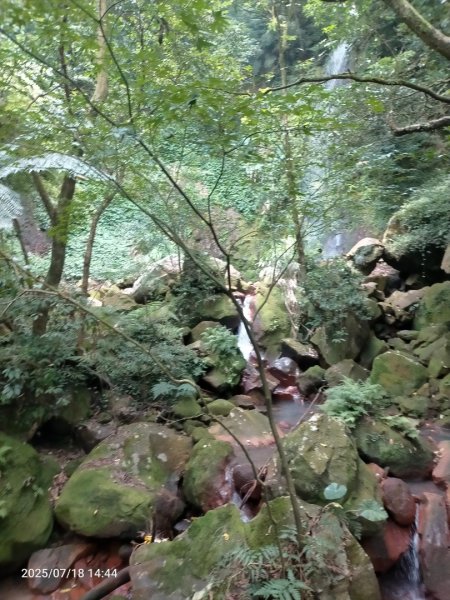 绢絲瀑布步道2840529