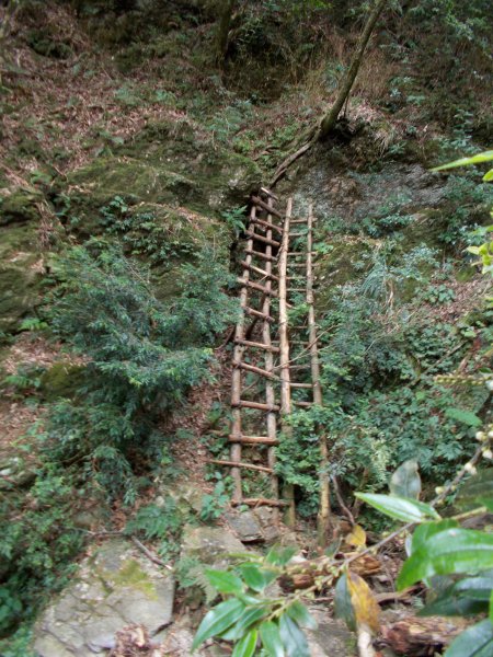 治茆山,治茆山南峰,巒山堂691184