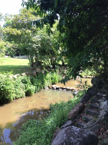 大溝溪生態公園縱走金面山1230803