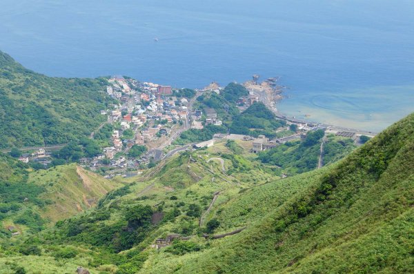 無耳茶壺山。黃金三稜539670