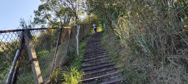 20240213_后里觀音山+鳳凰山步道2426666