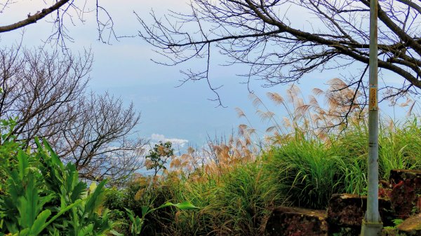 你若來汐止2961415