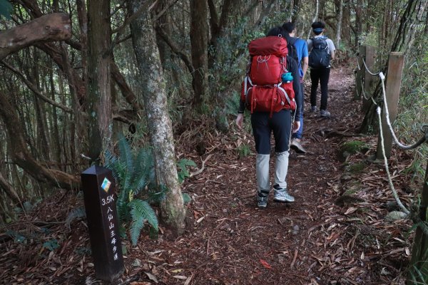 2020-12-12 八仙山1216254