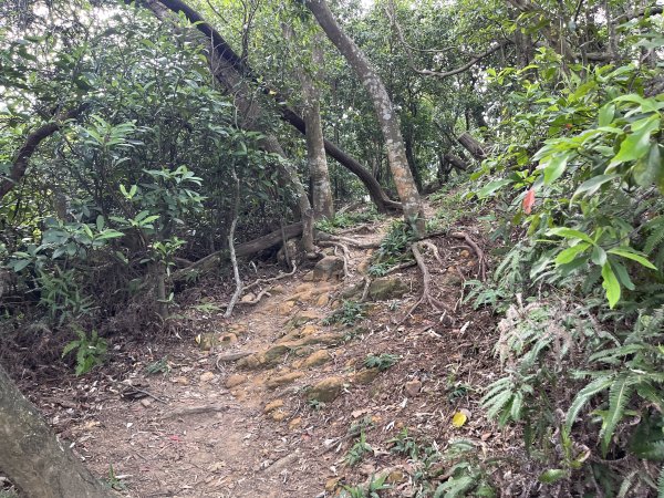 2024_0804 文間山2566403