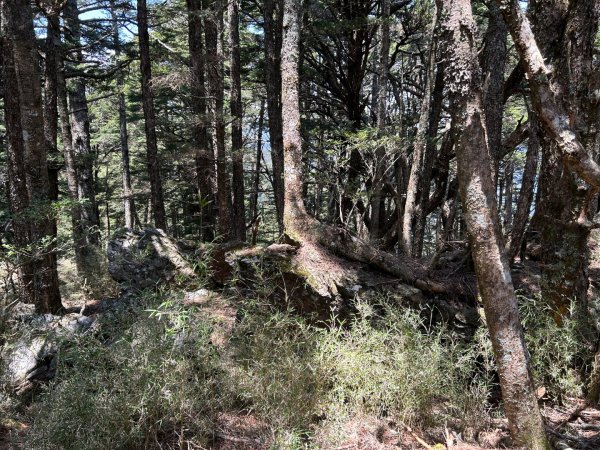 25/04/11羊頭山單攻2760065