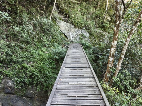 [玉山尋寶任務-07/12] 2025_0824 八通關雲龍瀑布步道2870600