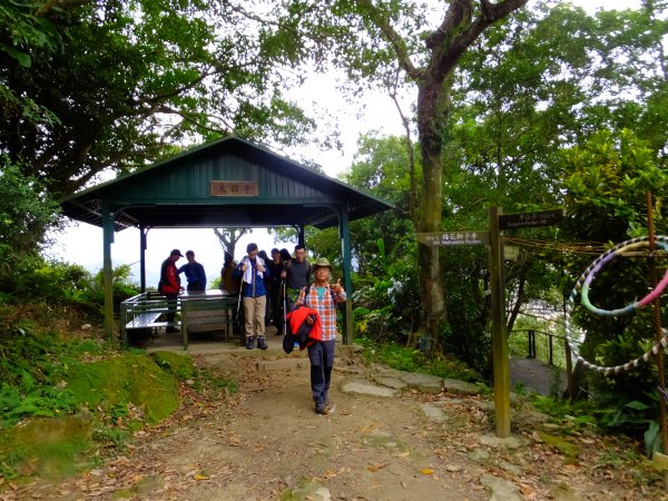 小山美學：新店小獅山步道886808