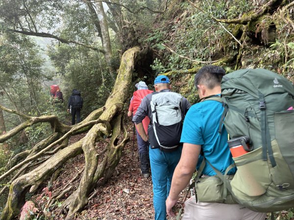 《走進人倫林道深處｜西巒大山三天兩夜・在森林裡慢慢前行》3085921