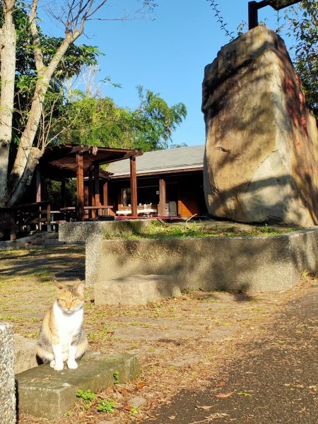 日月潭貓囒山1446521