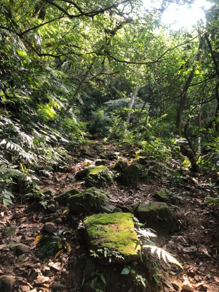 猴山岳-二格山-南邦寮山922545