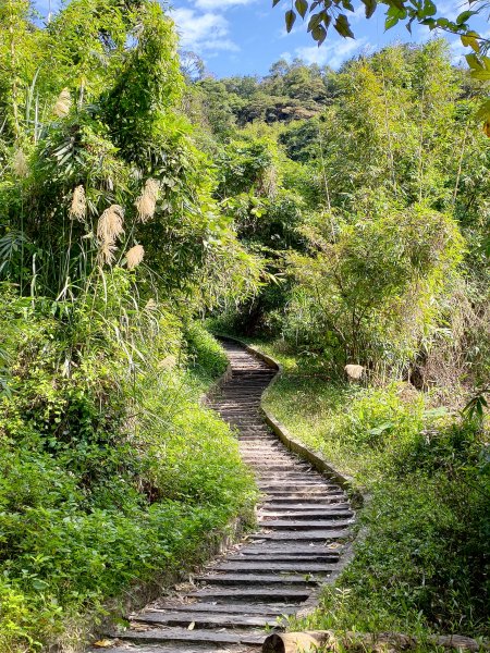 尖山步道-北橫古道-硬漢嶺步道794335