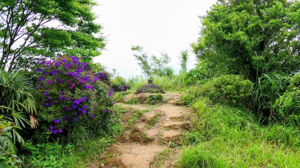 南港四小山。韓美磋2766479