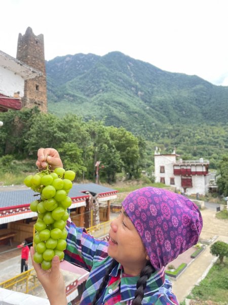 西藏♥️可愛動物🐎人物寫真/拉薩旅拍/美食2903336