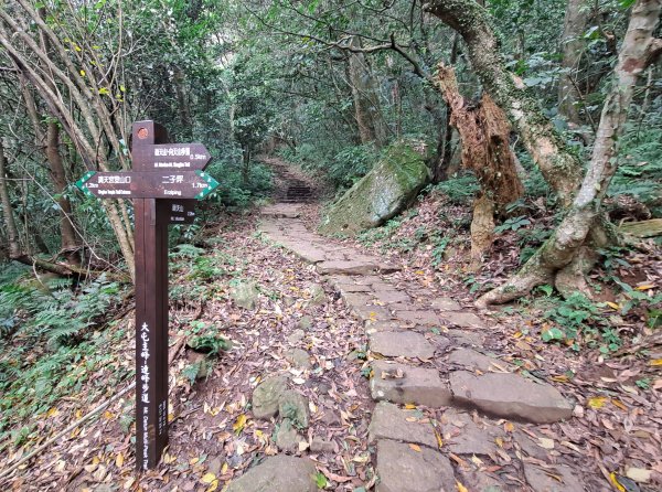 台北大縱走第一段1249192