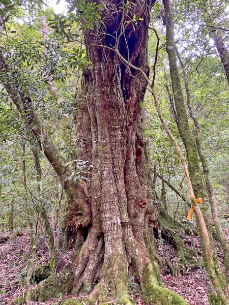 石山秀湖夢幻仙境悠遊行1013362