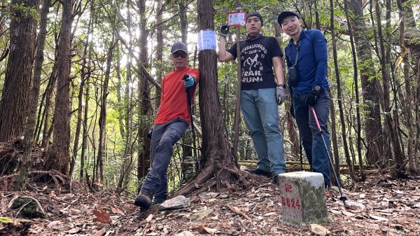 台灣最高如神般存在的大安溪倚天劍巨木探訪2747994