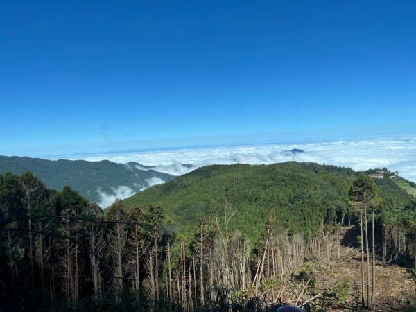 20241010_觀霧森林遊樂園區2855684