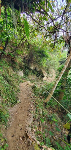 2023-12-02梅峰古道、獵鷹尖一線天步道、伍龍步道環行一圈2367080