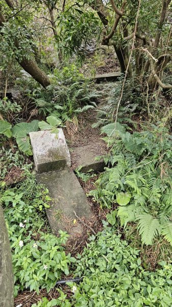 20260203石頭厝山-如意湖-彩虹橋稜線2996800