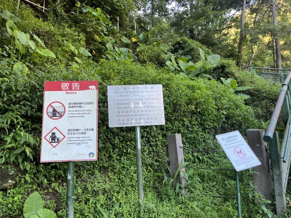 [玉山尋寶任務-03/12] 2025_0810 瓦拉米步道2857382