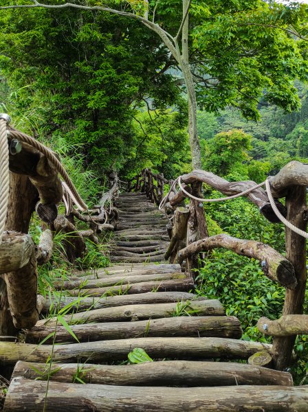 大坑3號登山步道1684744