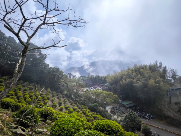 2026-02-08 藤枝山2998427