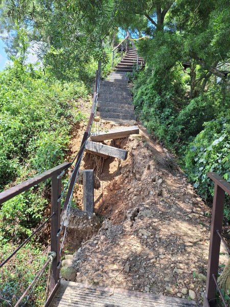 田中麒麟山森林步道202508172862027