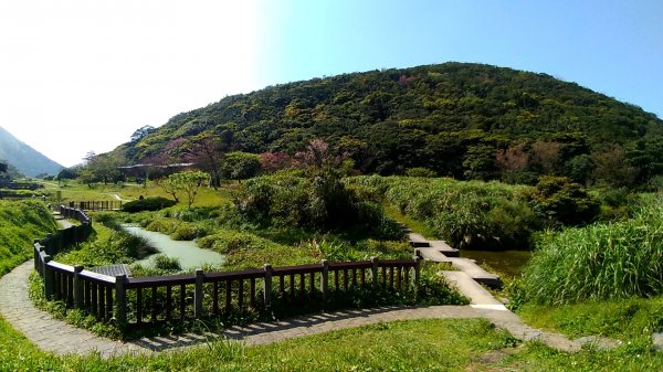 二子坪U上大屯山西峰544712