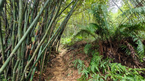 燕溪古道-大崙尾山西峰-仙座台山-圓明寺步道2926532