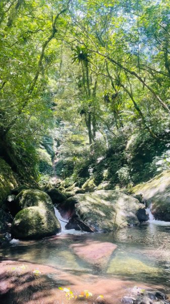 坪林-碧湖溪-蛋糕瀑布群（溯溪）2820879