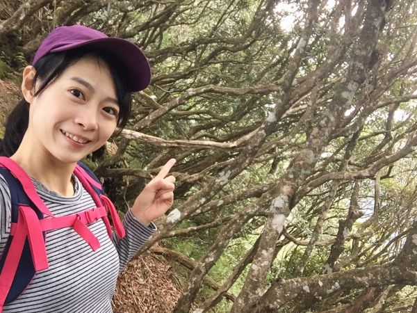 高島縱走156262