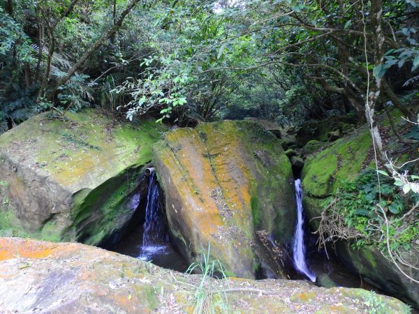 大牛稠湖步道湳子大崙三層山352148