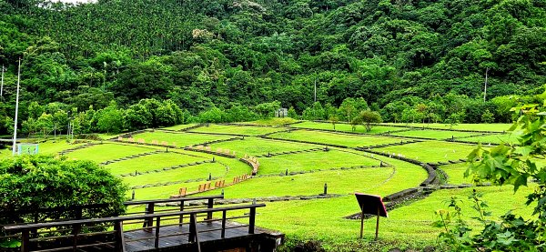 不用跑到宜蘭！台北市山上竟然還有美麗大草原，彷彿來到仁山植物園，南港山水綠生態公園之旅