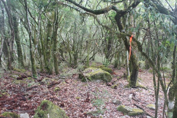 20240210高雄斯拉巴庫山2431534