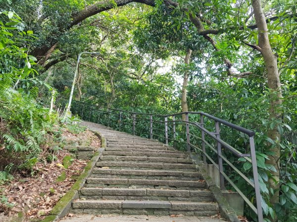 虎山溪步道1800978