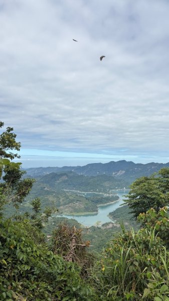 三腳南山2799546