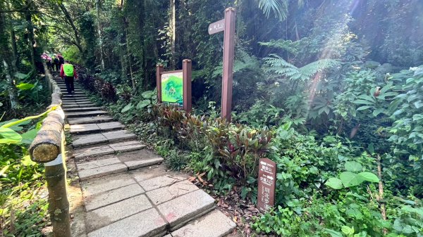 【梅山】圳北步道連走廟後步道小O行2266185